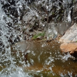 p1040941