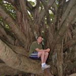 Jed holding the Banyan tree in place