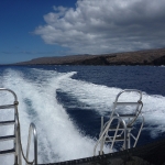 From the dive boat looking at Lanai