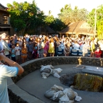 The crowd at the luau