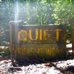 Shhh, trees don't like noise it appears