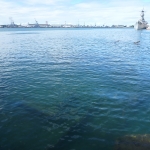 USS Arizona