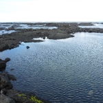 Tide pools