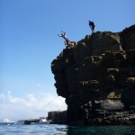 Jed jumping
