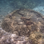 p1020704