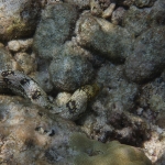 p1020711