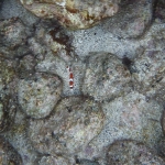 p1020752