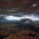 p1020767