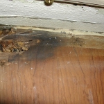 Water damage on the forward side at the mast step on the old bulkhead